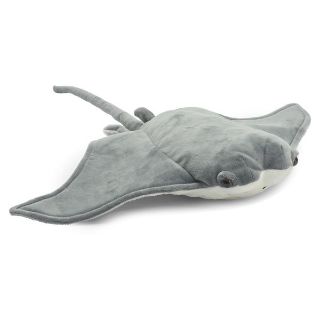 Obrázek z Rejnok siba atlantská plyš 26cm 
